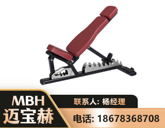 盐城可调哑铃椅